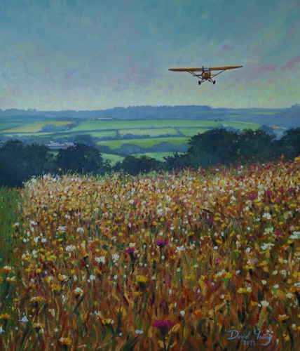 Wild flowers Bodmin airfield.jpg